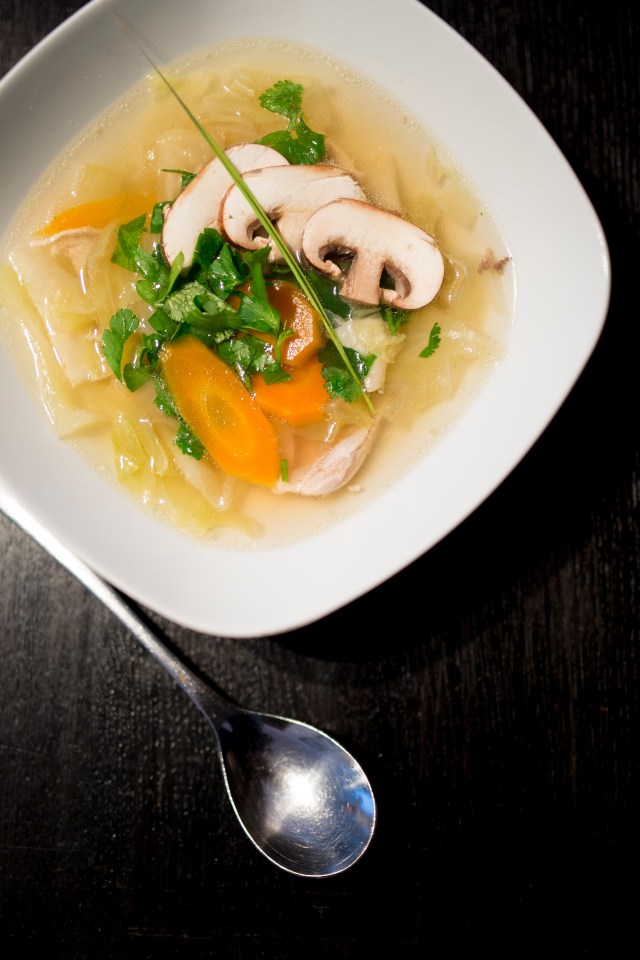 eurasische Hühnersuppe